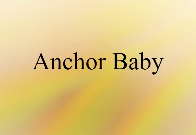 Anchor Baby (noun) Definition, Meaning & Examples