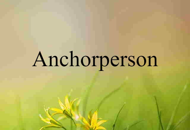 anchorperson