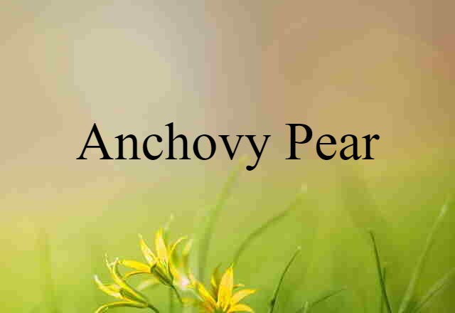 Anchovy Pear (noun) Definition, Meaning & Examples