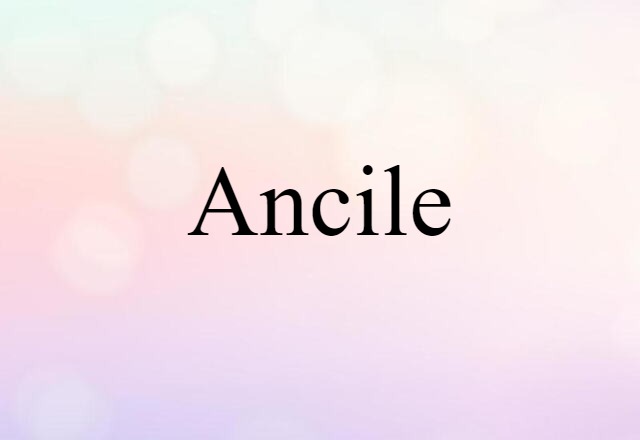 Ancile (noun) Definition, Meaning & Examples