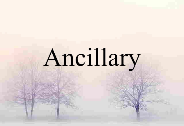 Ancillary (noun) Definition, Meaning & Examples