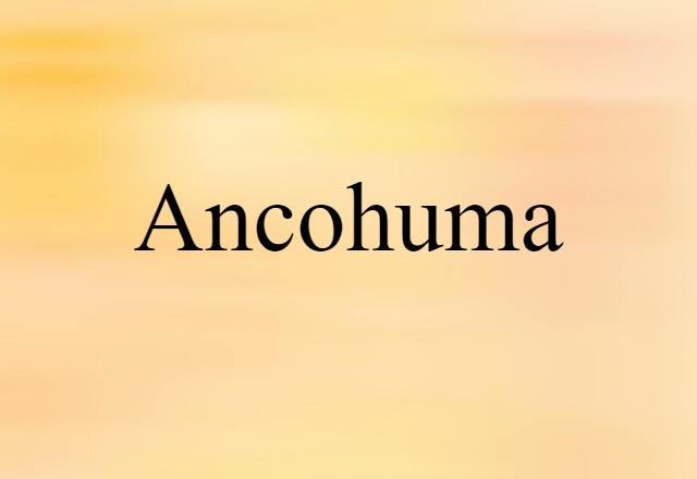 Ancohuma (noun) Definition, Meaning & Examples