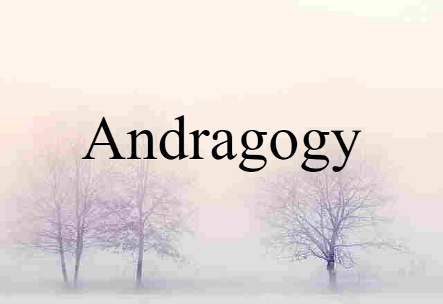 Andragogy (noun) Definition, Meaning & Examples