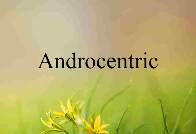 androcentric