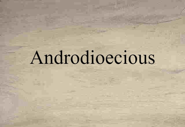 Androdioecious (noun) Definition, Meaning & Examples