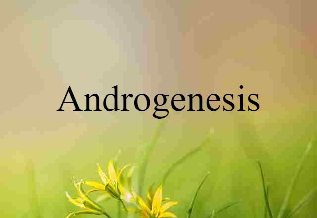 Androgenesis (noun) Definition, Meaning & Examples