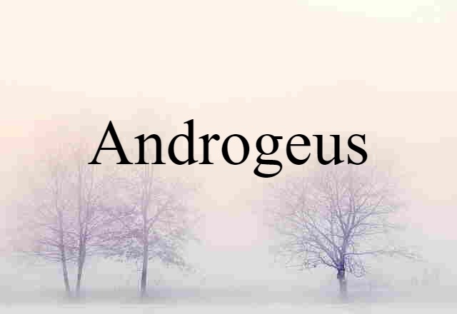 Androgeus (noun) Definition, Meaning & Examples