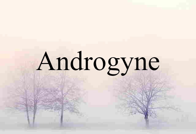 androgyne