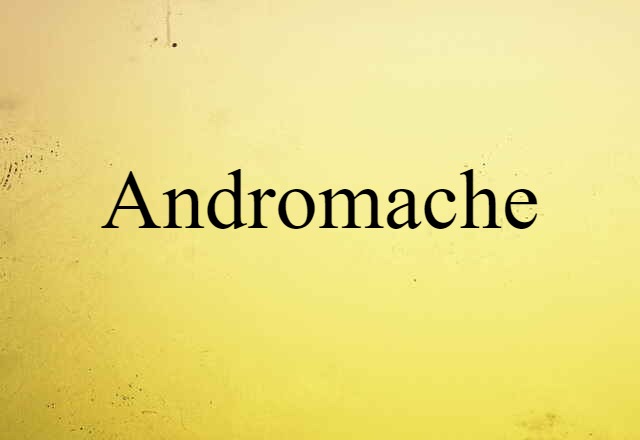 Andromache (noun) Definition, Meaning & Examples