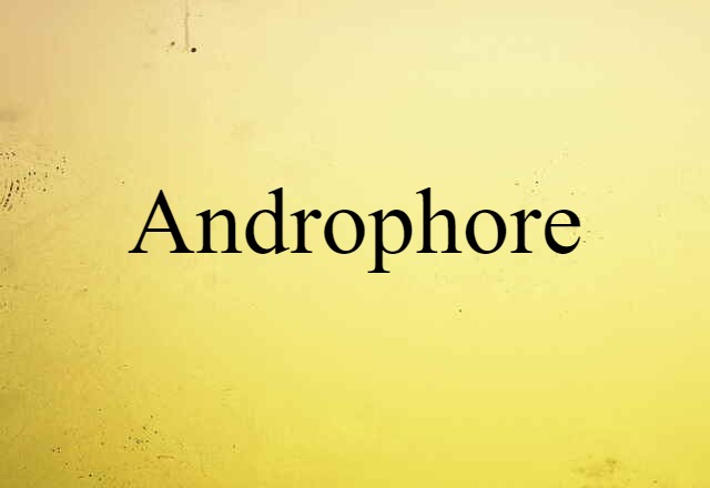 Androphore (noun) Definition, Meaning & Examples