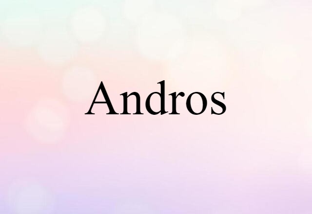 Andros (noun) Definition, Meaning & Examples