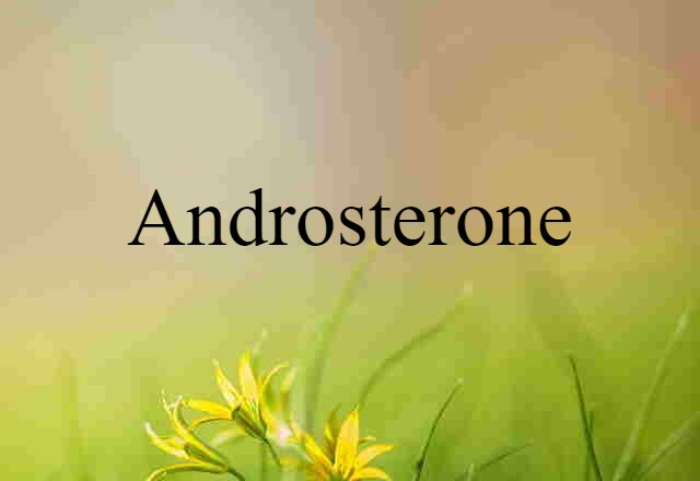 androsterone