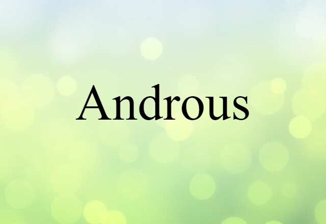 Androus (noun) Definition, Meaning & Examples