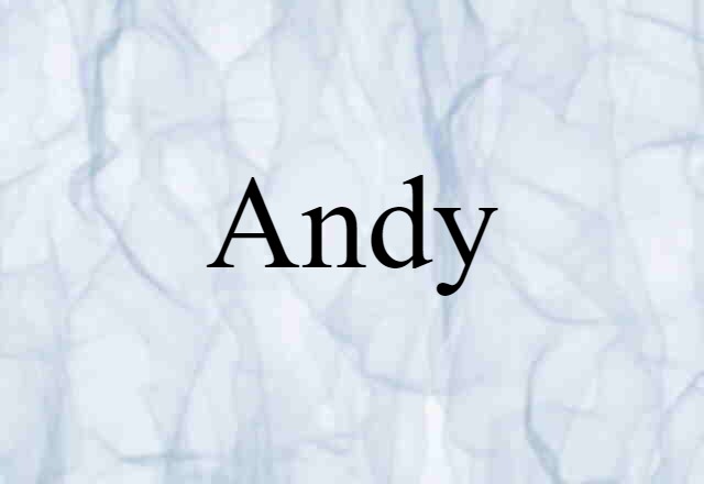 Andy (noun) Definition, Meaning & Examples