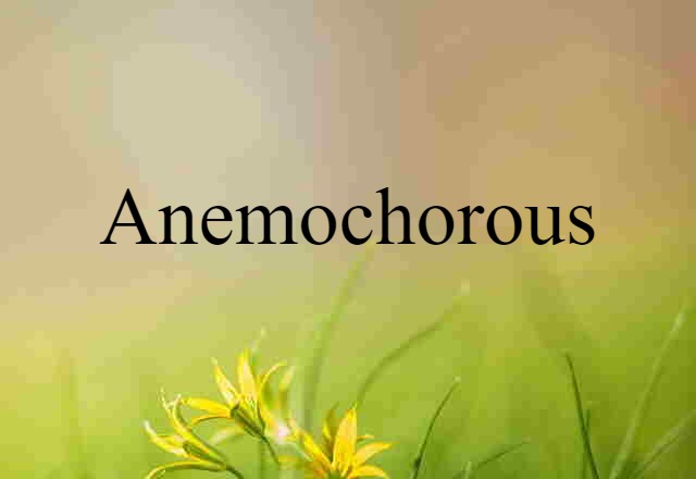 Anemochorous (noun) Definition, Meaning & Examples