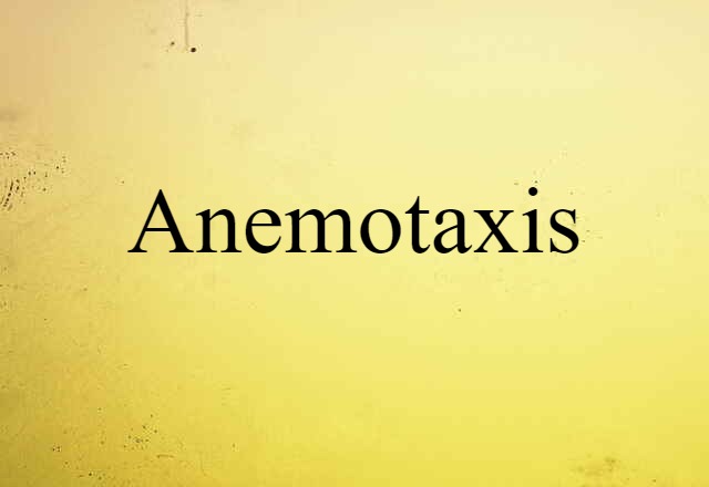 anemotaxis