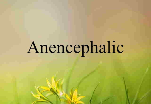 anencephalic