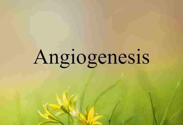 angiogenesis