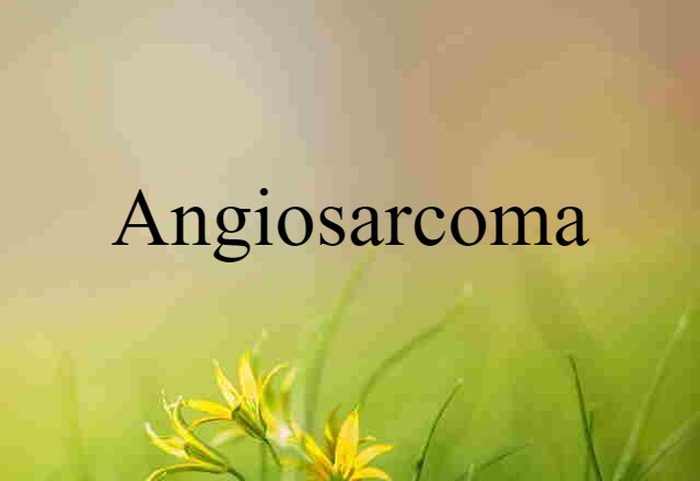 Angiosarcoma (noun) Definition, Meaning & Examples