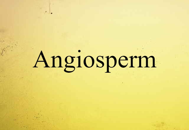 angiosperm