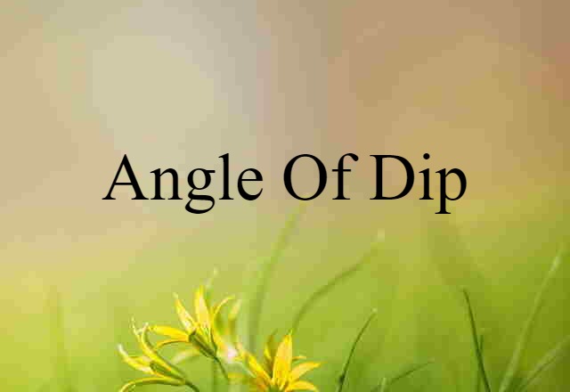 Angle Of Dip (noun) Definition, Meaning & Examples