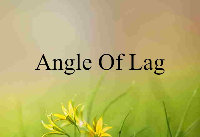 Angle Of Lag (noun) Definition, Meaning & Examples