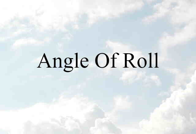 Angle Of Roll (noun) Definition, Meaning & Examples