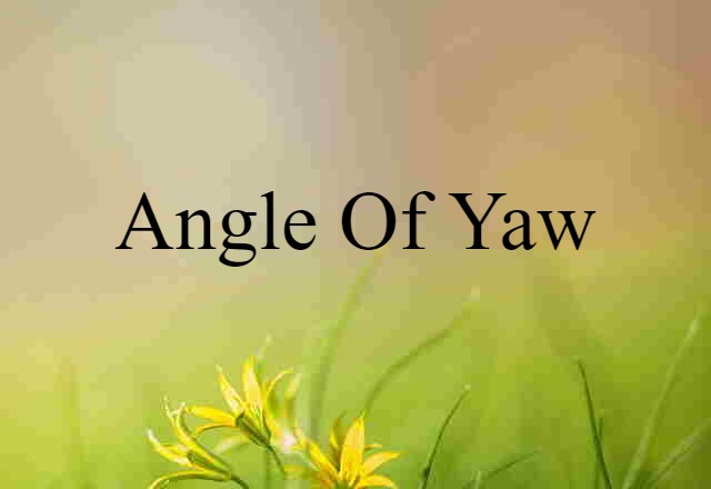 angle of yaw