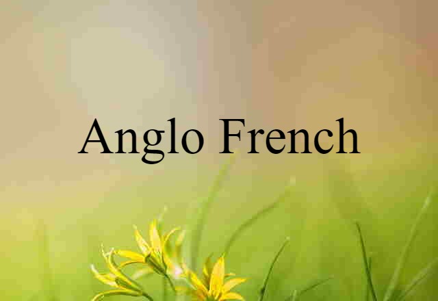 Anglo-French (noun) Definition, Meaning & Examples