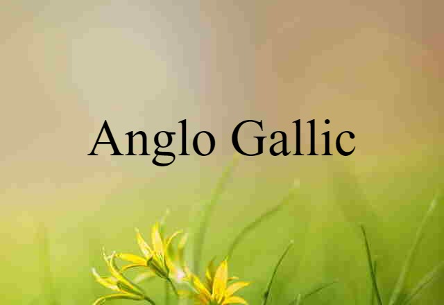 Anglo Gallic (noun) Definition, Meaning & Examples