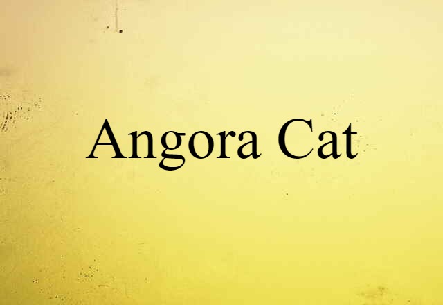 Angora Cat (noun) Definition, Meaning & Examples