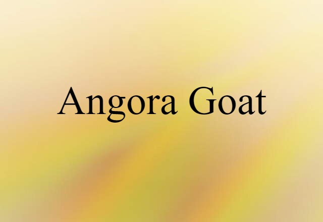 Angora Goat (noun) Definition, Meaning & Examples