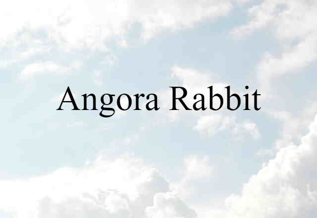 Angora rabbit