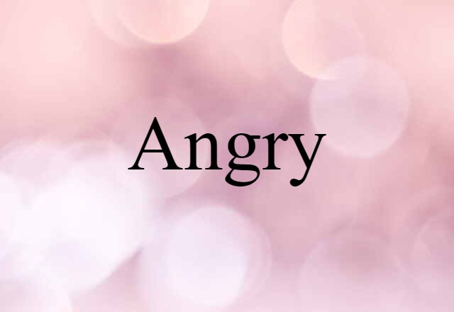 Angry (noun) Definition, Meaning & Examples