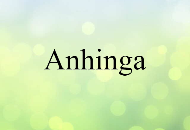 Anhinga (noun) Definition, Meaning & Examples