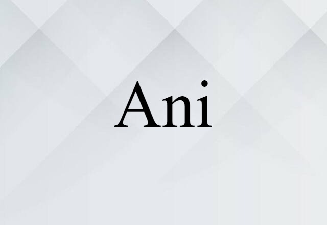 Ani (noun) Definition, Meaning & Examples