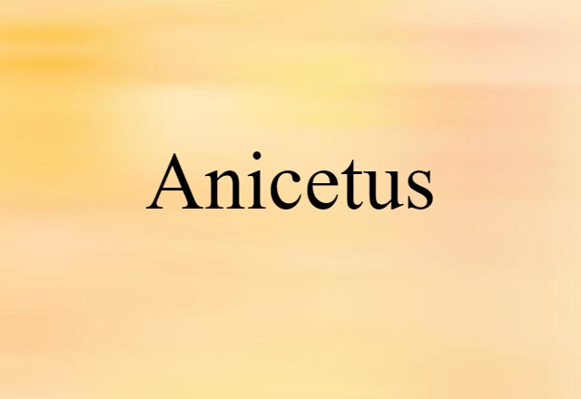 Anicetus (noun) Definition, Meaning & Examples