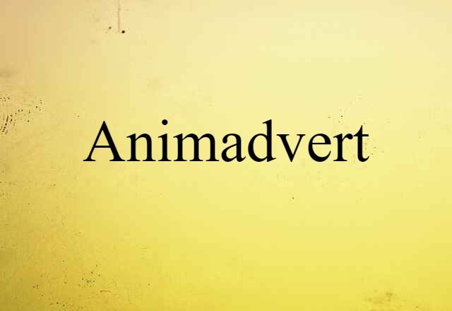 animadvert