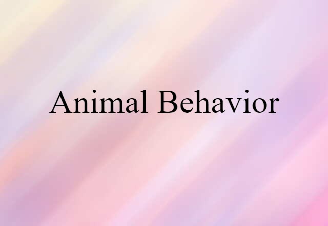 Animal Behavior (noun) Definition, Meaning & Examples