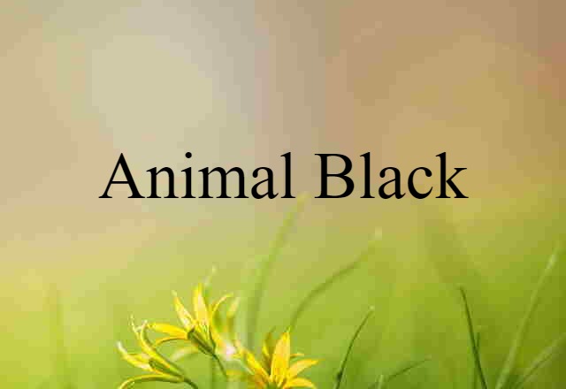 Animal Black (noun) Definition, Meaning & Examples