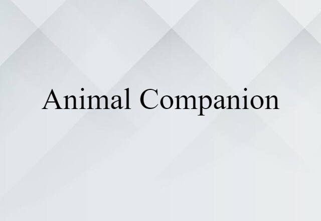 Animal Companion (noun) Definition, Meaning & Examples