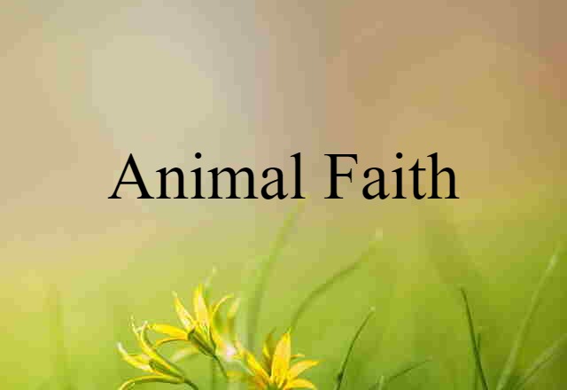 animal faith