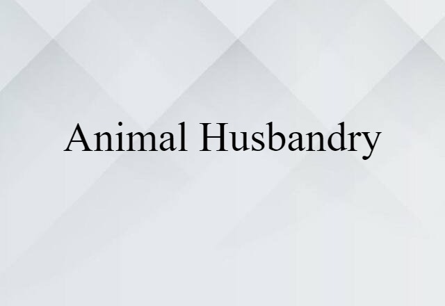 animal husbandry