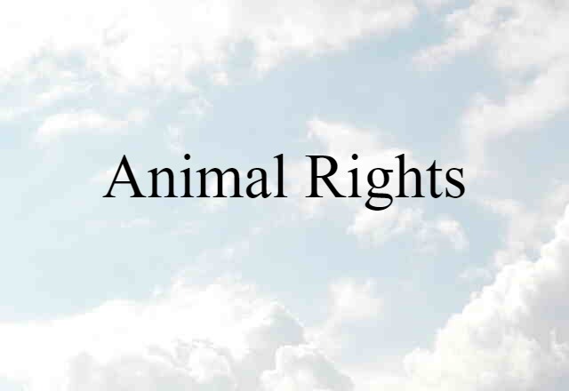 animal rights