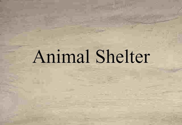 Animal Shelter (noun) Definition, Meaning & Examples