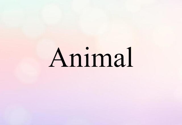 Animal (noun) Definition, Meaning & Examples