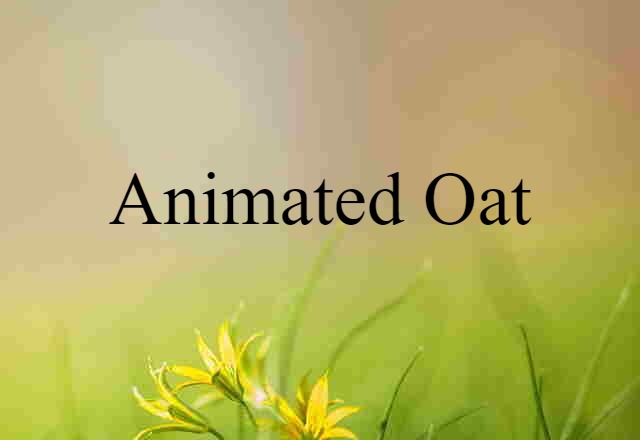 animated oat