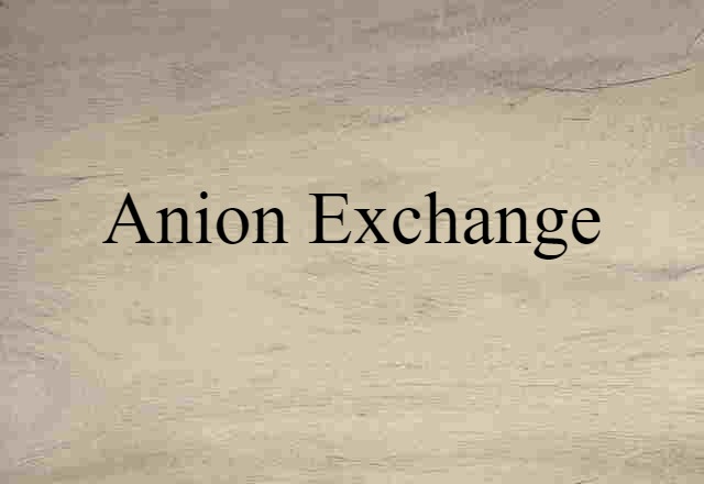 Anion Exchange (noun) Definition, Meaning & Examples