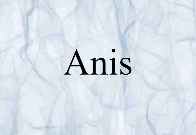 Anis (noun) Definition, Meaning & Examples