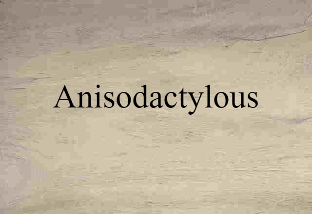 anisodactylous